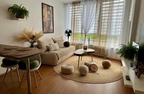 Ceske Budejovice Apartment | Bali byt s parkovacím místem v centru města