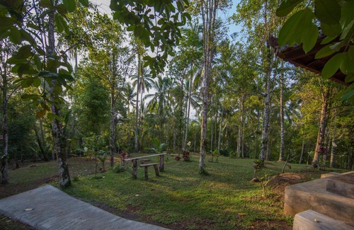 East Selemadeg Cabin | Bali Green Retreat