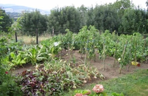 Basaburua Cottage | Balkonpe Cottage. Ideal house for rest and for families with children