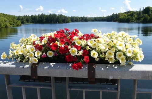 Coboconk Cottage | Balsam Lake Cottage in Coboconk