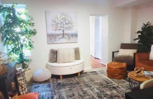 Downtown Baltimore Apartment | Baltimore Beauty! Johns Hopkins! 3 bedroom apt