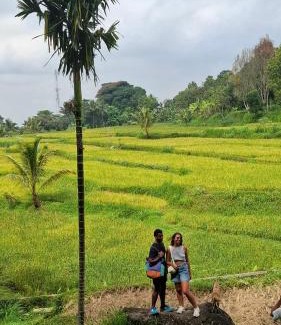 Kecamatan Sikur House | Bamboo Craft Homestay