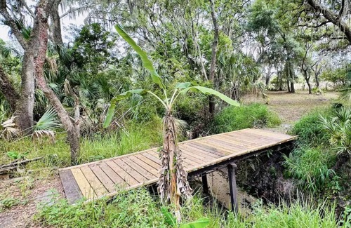 Riverview House | Bamboo Farm On Bullfrog Creek