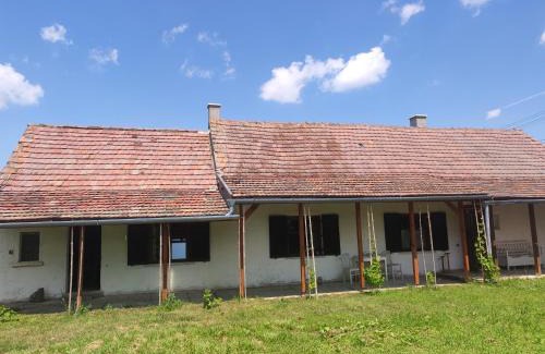 Rabapaty House | Bambusz ház