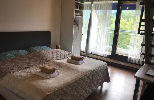 Bad Urach Apartment | BaMeS BadUrach Metzingen Stuttgart