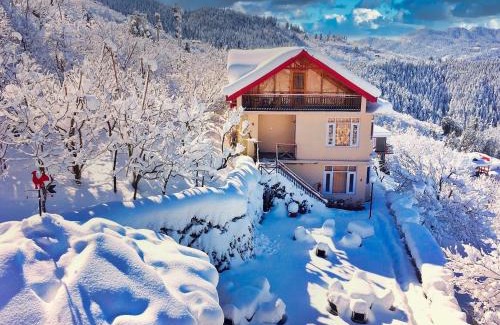 Kumharsain Hotel | Banjara Orchard Retreat Thanedar