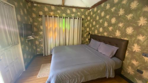Chiang Dao House | Bann Phudtan