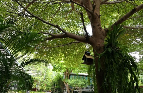 Cha-am House | Bann Vimansamutr
