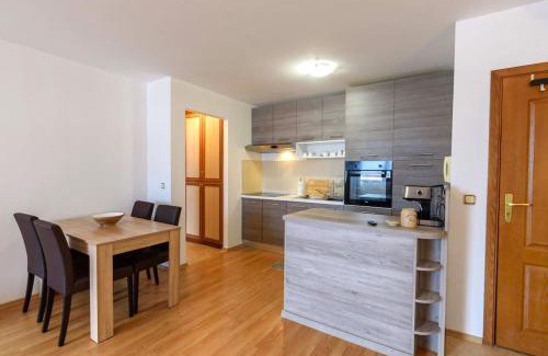 Old Town Apartment | Bansko Ski & Relax Apartment