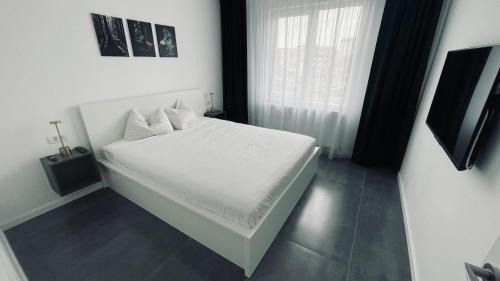 Sector 6 Apartment | Barbici Group