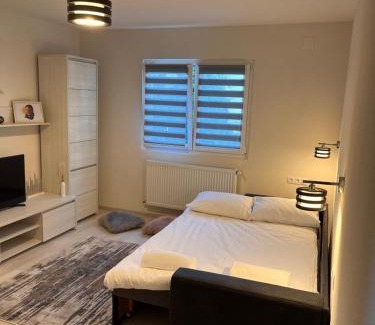 Sovata Apartment | Barney Apartman