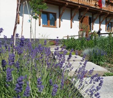 gmina Miejsce Piastowe House | Base Camp Carpathia