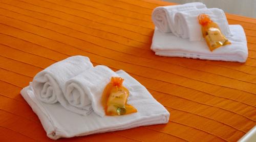 Bernalda Apartment | Basilicata Host to Host - La Conchiglia