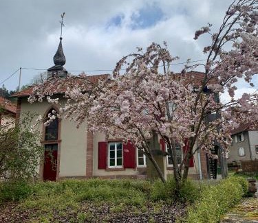 Abreschviller Apartment | Bastide du Soldat