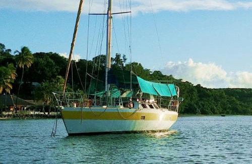 Espace Sud de la Martinique Boat Rental | Bateau Kyma