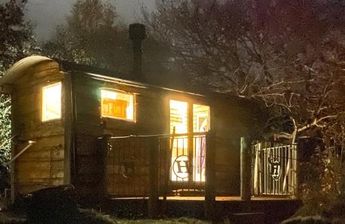 Millom House | Bats About - Uk45788
