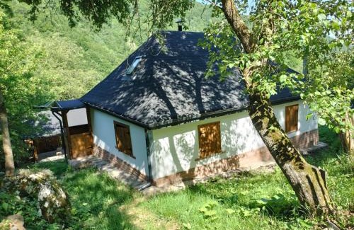 Salciua de Jos House | BATS CAVE HUT - Transylvania - Hot-Tub - Sauna