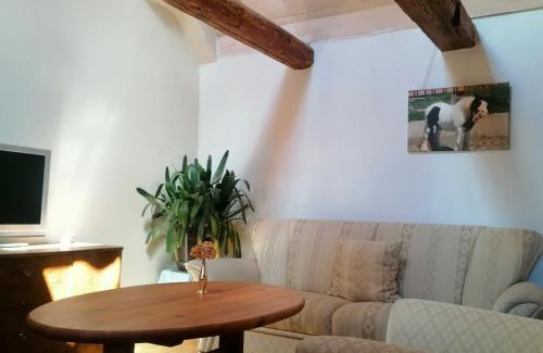 Wienrode Apartment | Bauernhof Lisa Offenstall und Taubenschlag