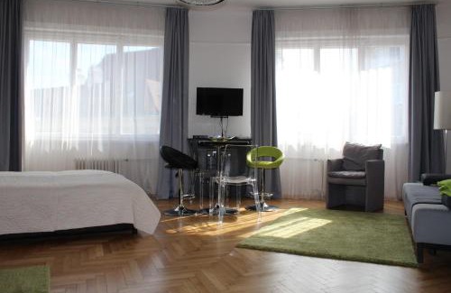 Vizivaros Apartment | Bauhaus Studio with Parliament view