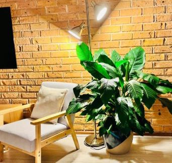Tanilba Bay House | Bay Getaway - Beach, Nature walks and a Two Storey House
