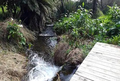 Pakaraka Bed & Breakfast | Bay of Islands Crossroads Homestay B&B