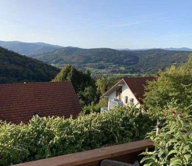Schofweg Apartment | Bayerischer Wald Auf 800M Höhe Willkommen
