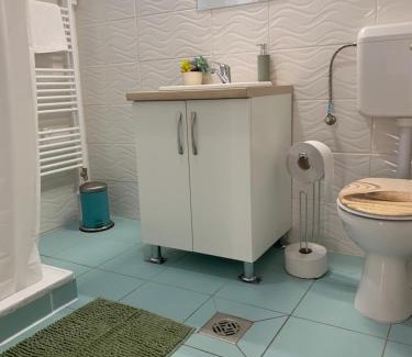 Sarospatak Apartment | Bazsalikom Vendégház