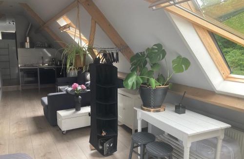 Municipality of Heemskerk Bed & Breakfast | BBOosterweg3 Studio - Free private parking
