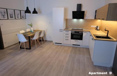Bozi Dar Apartment | BD Boží Dar by Mountain ways