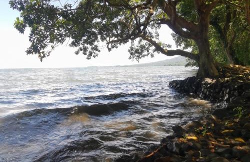 Ometepe Island House | Beach & forest scape