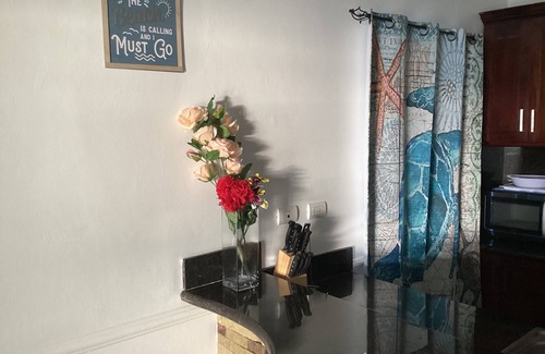 Los Brazos Condo | Beach Front 2bd/2ba Emaculent 1st FL Poolside Condo Playa Alicia 24hr Security