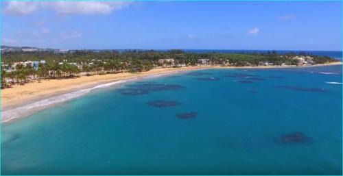Vilomar Apartment | Beach front apartment in Luquillo