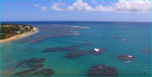 Vilomar Apartment | Beach front apartment in Luquillo