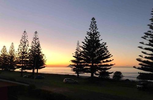 Ohope Apartment | Beach Front Apartment