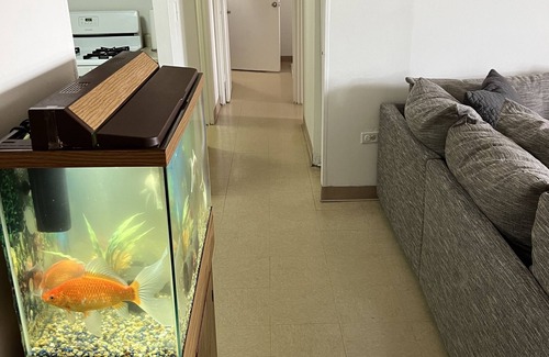 Queens Apartment | Beach Front unit with beautiful boardwalk conveniently steps away.