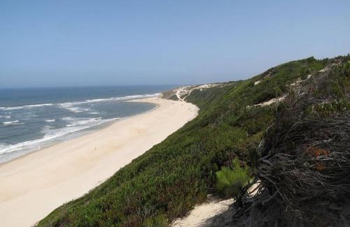 Agua de Madeiros House | Beach House, 50 meters from the sea