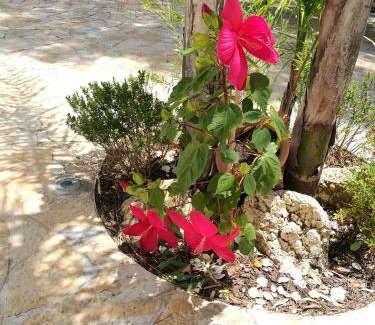 Nardo Bed & Breakfast | Beach House Salento