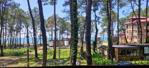 Ureki House | Beachfront 4-bedroom home in Kaprovani pine forest