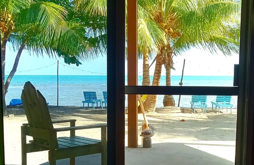 Toledo District Apartment | Beachfront surrounded by lush natural jungle. Snorkle from shore manatee watch