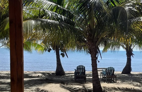 Toledo District Apartment | Beachfront surrounded by lush natural jungle. Snorkle from shore manatee watch