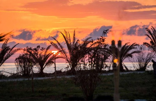 Kounopetra Villa | Beachfront complex of villas