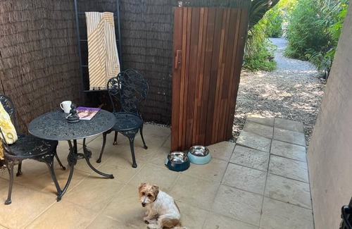 Suffolk Park Apartment | Beachfront Dog-friendly Motel Room With Courtyard