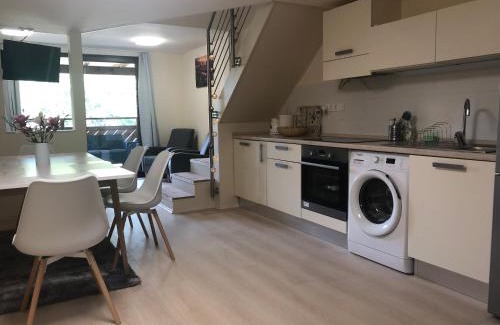 Balatonfuzfo Apartment | Beachfront Studio Apartman