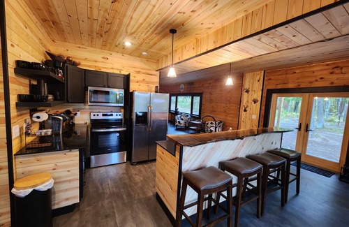 Pine River Cabin | Bear Paw Cabin on the lake, with private water access, quiet getaway sleeps 10