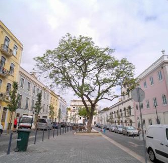Beato Apartment | Beato Hideaway: Your home in Lisbon