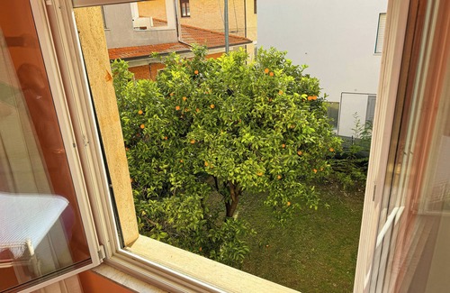 Paese Alto House | Beautiful Flower 🌸