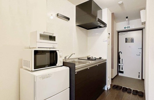 Hiroshima City Centre Apartment | Beautiful 1 BR New Apt City Center for 3 Ppl