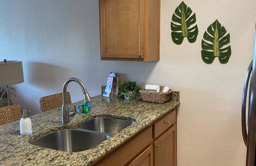 Treasure Island Condo | Beautiful 1 BR 1 Bath condo on intercoastal in Treasure Island