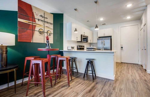 East Riverside - Oltorf Apartment | Beautiful 1BR in Riverside 3689