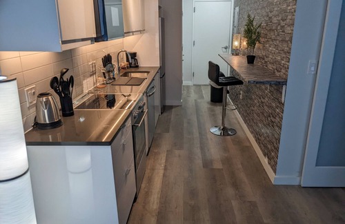 Silver Spring Condo | Beautiful 2 Bedroom Apt with voiced controlled fixtures